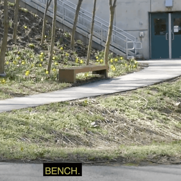 a bench in a grassy area, the subtitle in capital letters reads bench